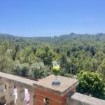 zumo con vistas